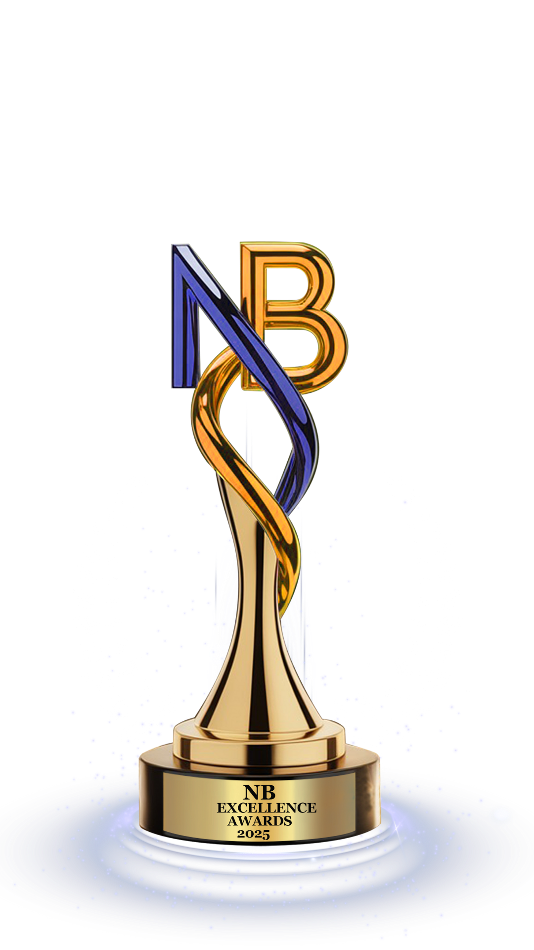 NB Excellence Awards 2025